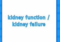 kidney function / kidney failure
