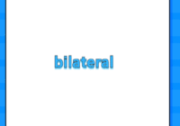 bilateral