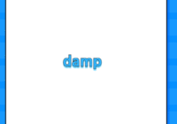 damp
