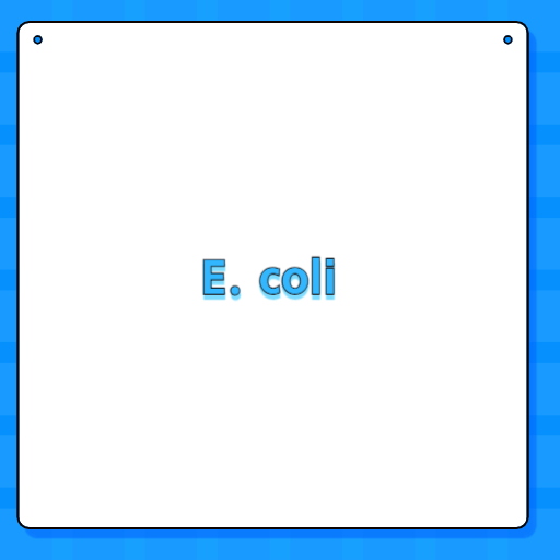 E. coli