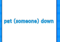 pat (someone) down