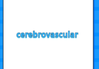 cerebrovascular