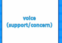 voice (support/concern)