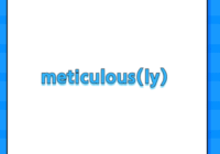 meticulous(ly)