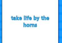 take life by the horns