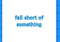 fall short of something