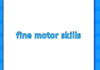 fine motor skills