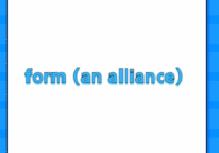 form (an alliance)