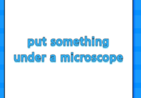put something under a microscope