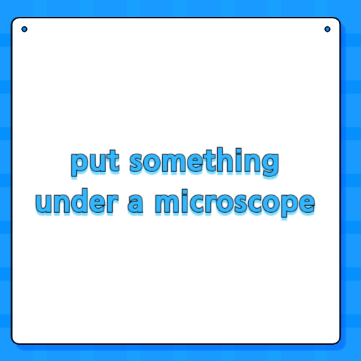 put something under a microscope