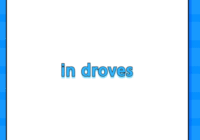 in droves
