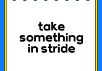 take something in stride