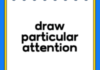 draw particular attention
