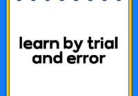learn by trial and error