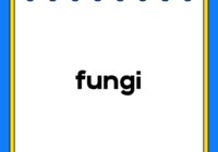 fungi